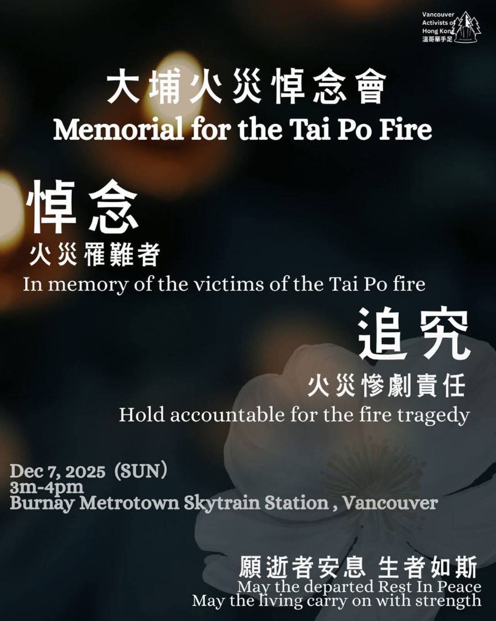 2025-12-04 12.32.19.jpg